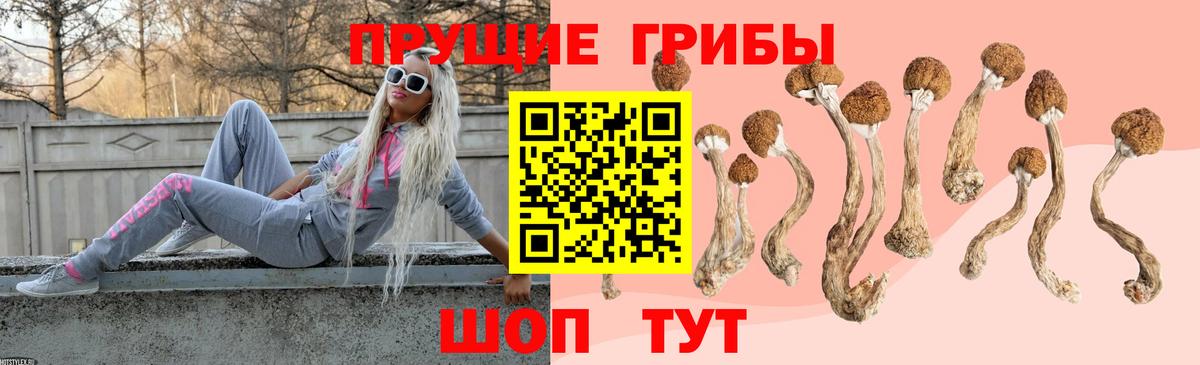Галлюциногенные грибы MAGIC MUSHROOMS Кисловодск